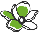 magnolia-eyecare-king-nc-logo3